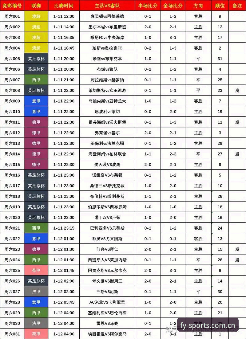 掌握风云体育平台使用门道，五大联赛观赛与数据查询的实用指南